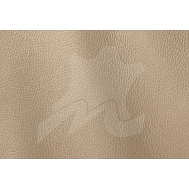 Aligo Group фото